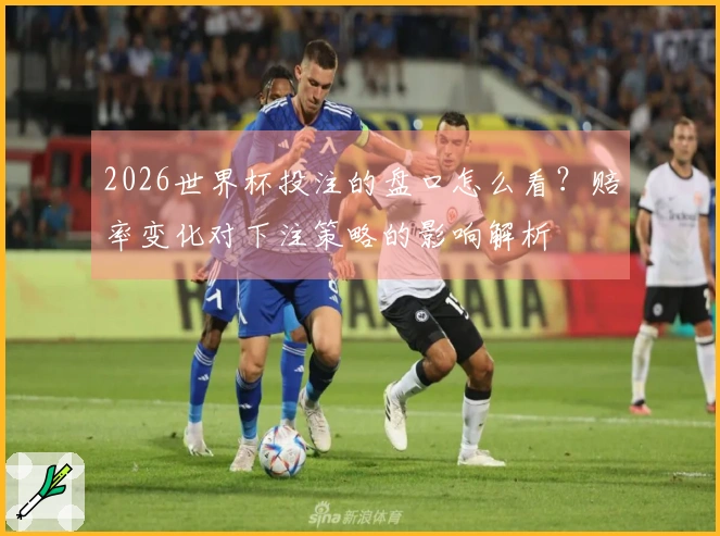 2026世界杯投注的盘口怎么看？赔率变化对下注策略的影响解析