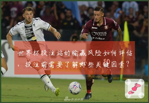 世界杯投注站的输赢风险如何评估，投注前需要了解哪些关键因素？