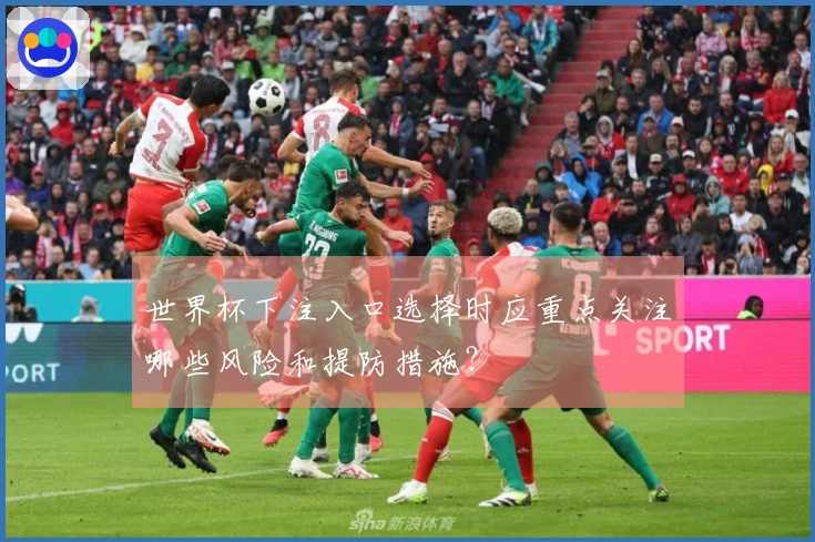 世界杯下注入口选择时应重点关注哪些风险和提防措施？