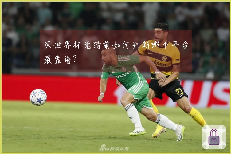 买世界杯竞猜前如何判断哪个平台最靠谱？