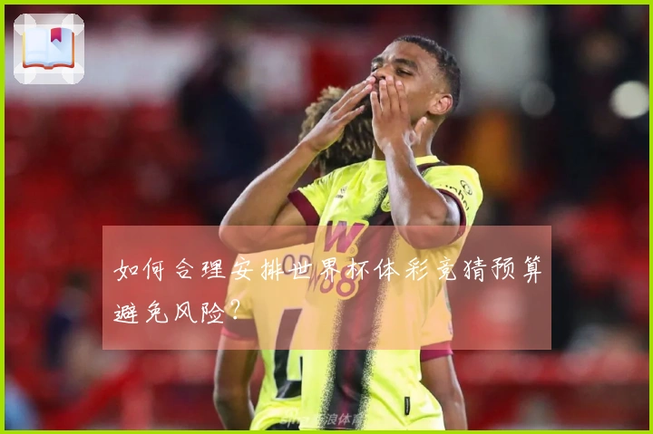 如何合理安排世界杯体彩竞猜预算避免风险？