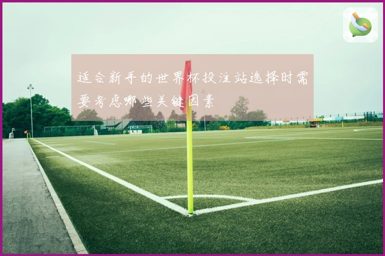 适合新手的世界杯投注站选择时需要考虑哪些关键因素