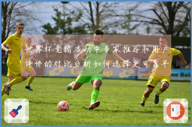 世界杯竞猜活动中专家推荐和用户评价的对比分析如何选择更可靠平台