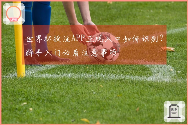 世界杯投注APP正规入口如何识别？新手入门必看注意事项