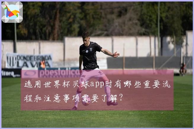 选用世界杯买球app时有哪些重要流程和注意事项需要了解？