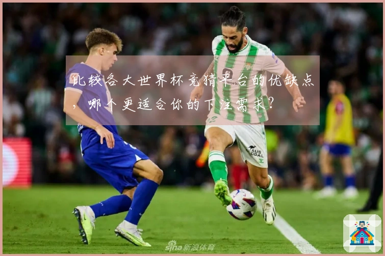 比较各大世界杯竞猜平台的优缺点，哪个更适合你的下注需求？