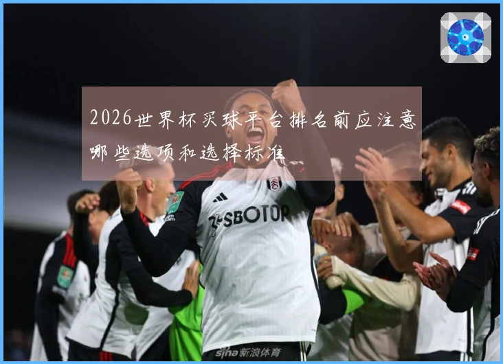 2026世界杯买球平台排名前应注意哪些选项和选择标准