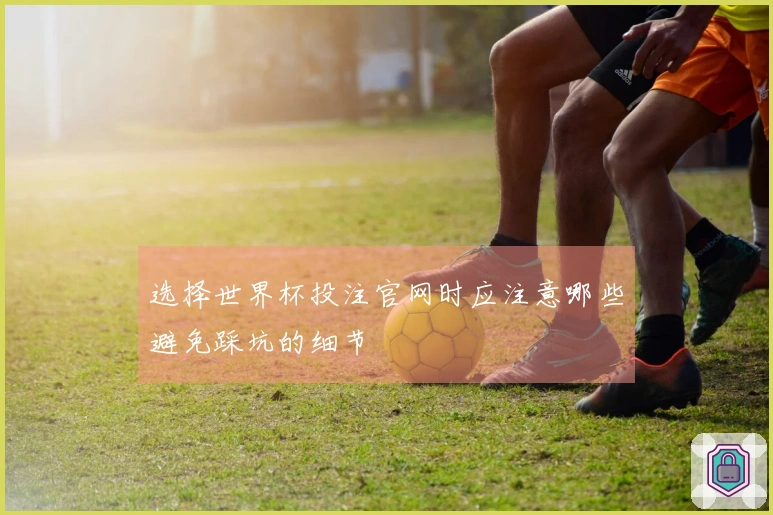 选择世界杯投注官网时应注意哪些避免踩坑的细节