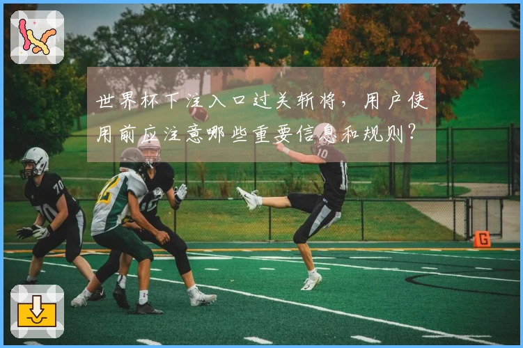 世界杯下注入口过关斩将，用户使用前应注意哪些重要信息和规则？