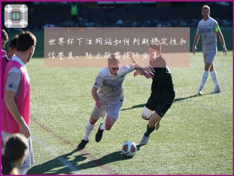 世界杯下注网站如何判断稳定性和信誉度，防止踩雷技巧分享