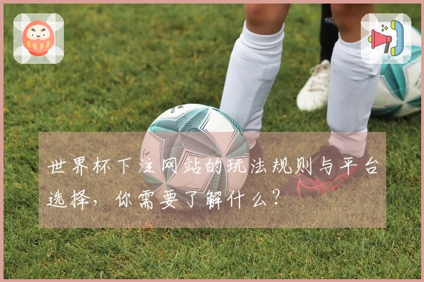 世界杯下注网站的玩法规则与平台选择,你需要了解什么?