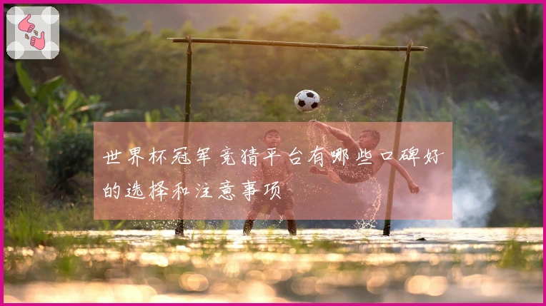 世界杯冠军竞猜平台有哪些口碑好的选择和注意事项
