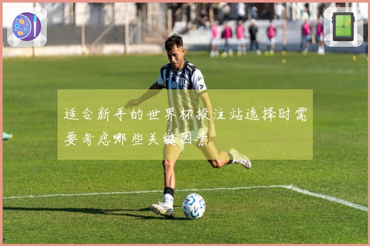 适合新手的世界杯投注站选择时需要考虑哪些关键因素