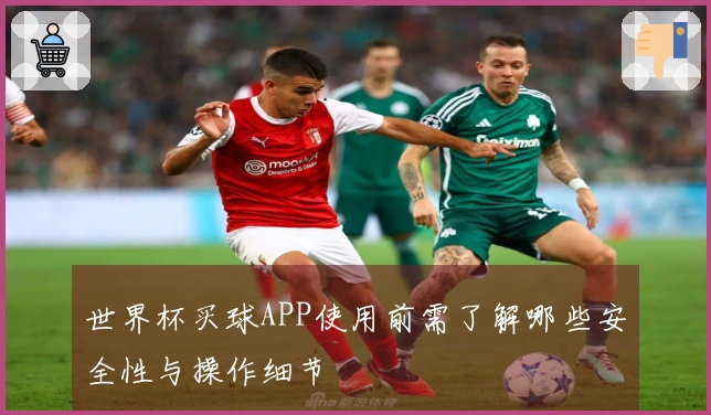 世界杯买球APP使用前需了解哪些安全性与操作细节