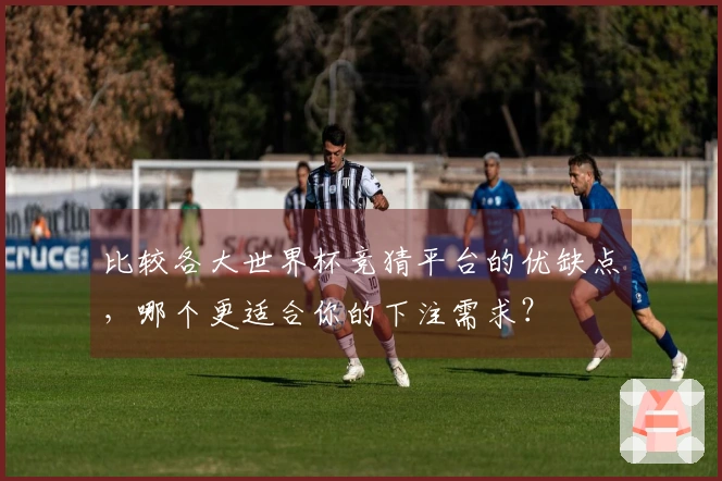 比较各大世界杯竞猜平台的优缺点，哪个更适合你的下注需求？