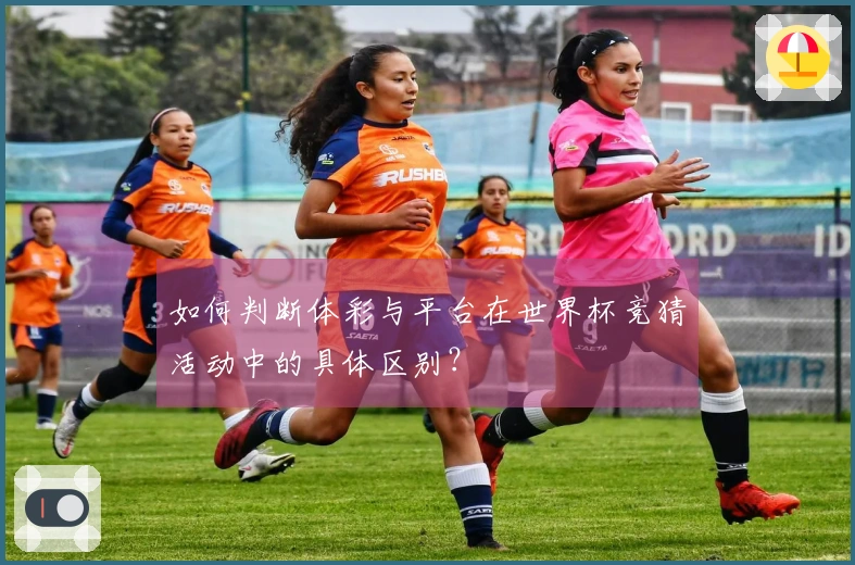 如何判断体彩与平台在世界杯竞猜活动中的具体区别？
