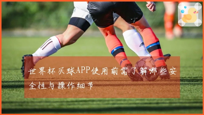 世界杯买球APP使用前需了解哪些安全性与操作细节
