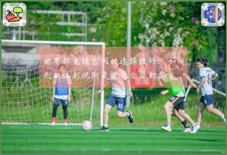 世界杯竞猜官网的选择技巧：如何判断体彩规则是否符合你的需求