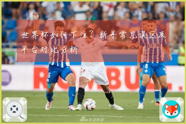 世界杯如何下注？新手常见误区及平台对比分析
