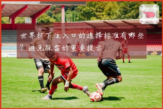 世界杯下注入口的选择标准有哪些？避免踩雷的重要提示