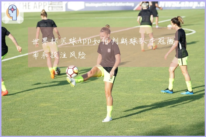 世界杯买球App如何判断球队夺冠概率和投注风险