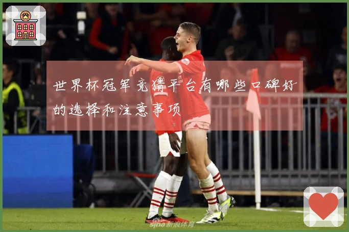 世界杯冠军竞猜平台有哪些口碑好的选择和注意事项
