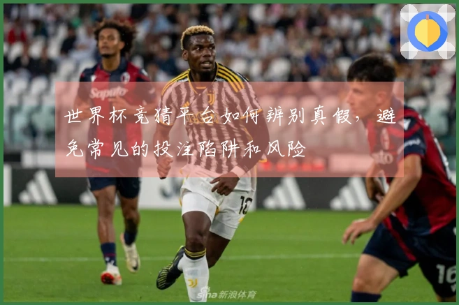 世界杯竞猜平台如何辨别真假,避免常见的投注陷阱和风险