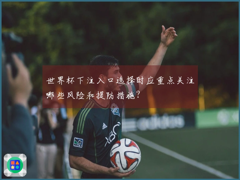 世界杯下注入口选择时应重点关注哪些风险和提防措施？