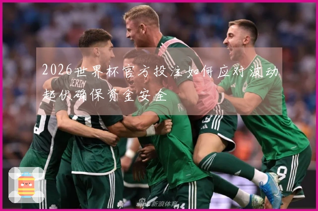 2026世界杯官方投注如何应对波动起伏确保资金安全