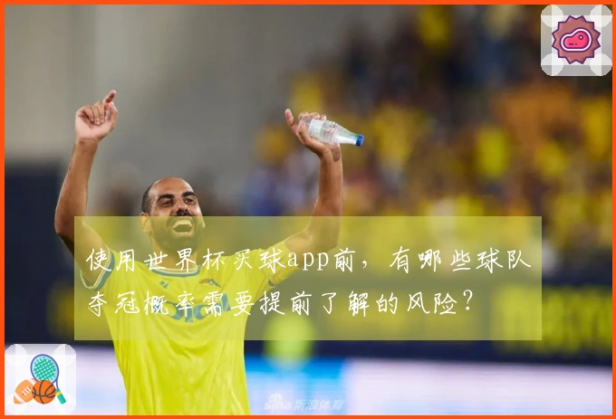 使用世界杯买球app前，有哪些球队夺冠概率需要提前了解的风险？