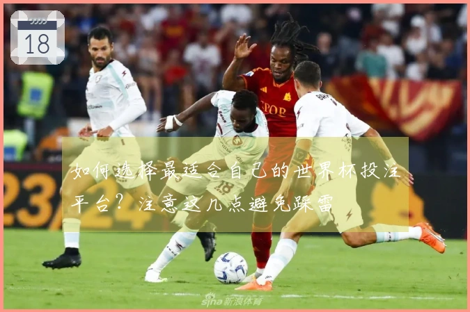 如何选择最适合自己的世界杯投注平台？注意这几点避免踩雷