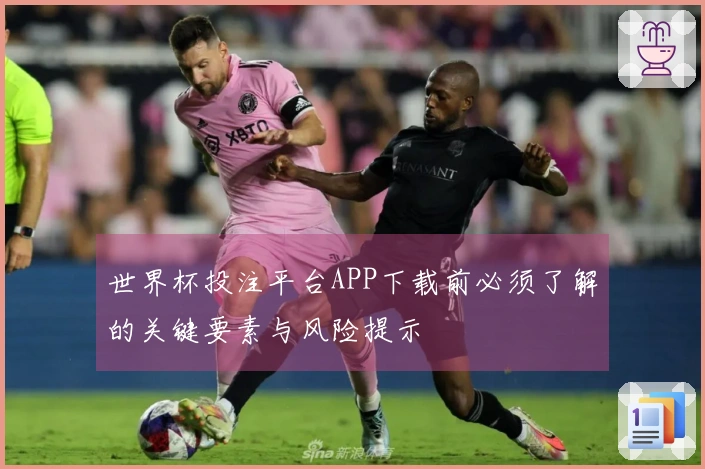 世界杯投注平台APP下载前必须了解的关键要素与风险提示