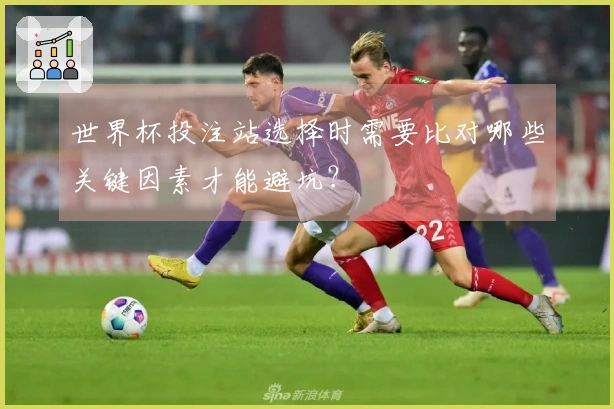 世界杯投注站选择时需要比对哪些关键因素才能避坑？